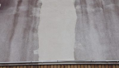 Red Algae treatment